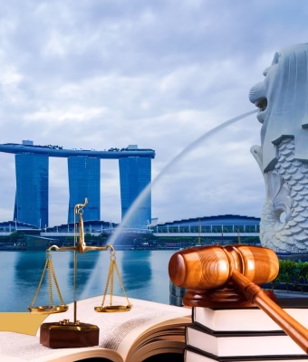 Singapore Privacy Law Singapore Privacy Law